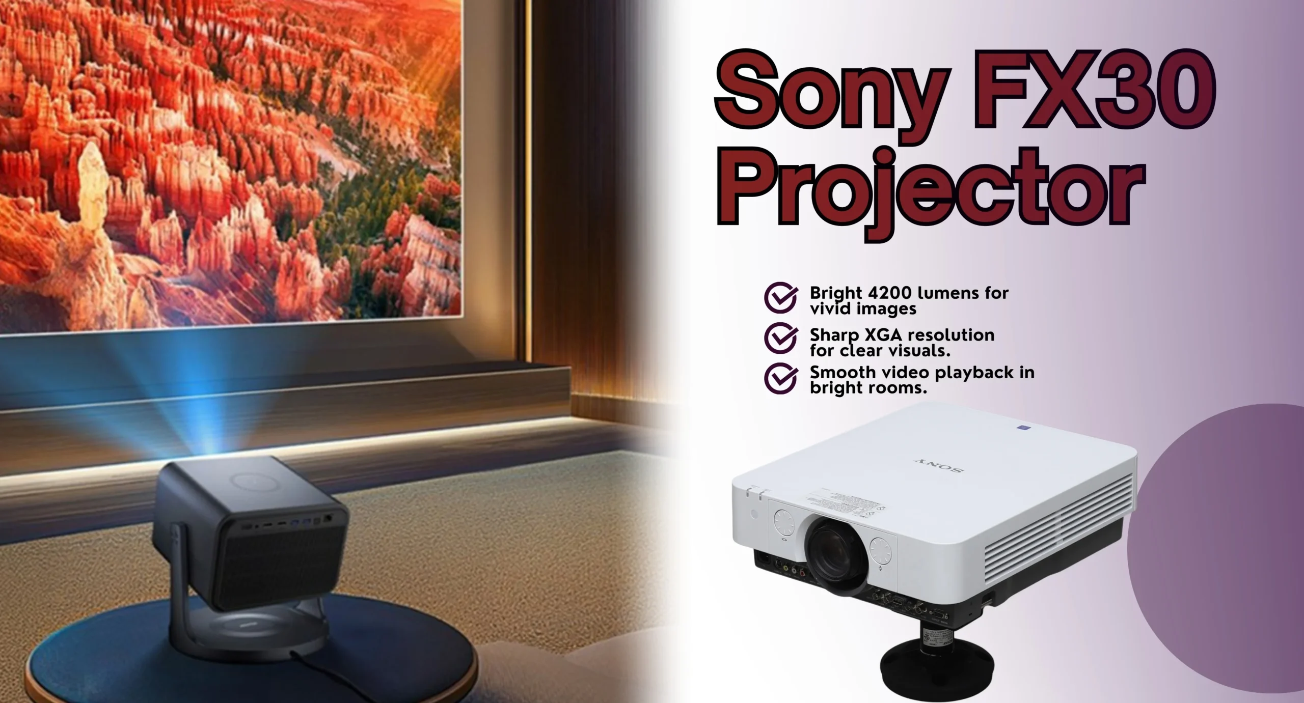 sony fx30 projector